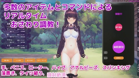 洗脳アプリで清楚なお嬢様をドスケベ調教するシミュレーション