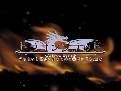 ドラゴンブラッド＋追加DLC1セット 画像1