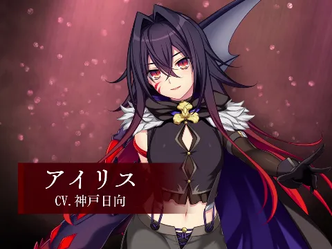 ドラゴンブラッド＋追加DLC1セット 画像13