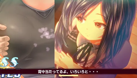 夕暮れまぐれの黒と白 画像4