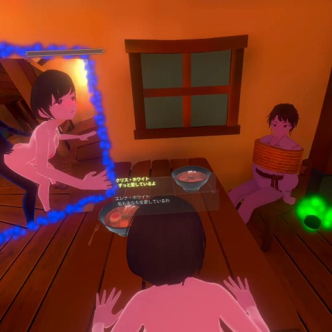 異世界転生したからNPC全員を犯るVR