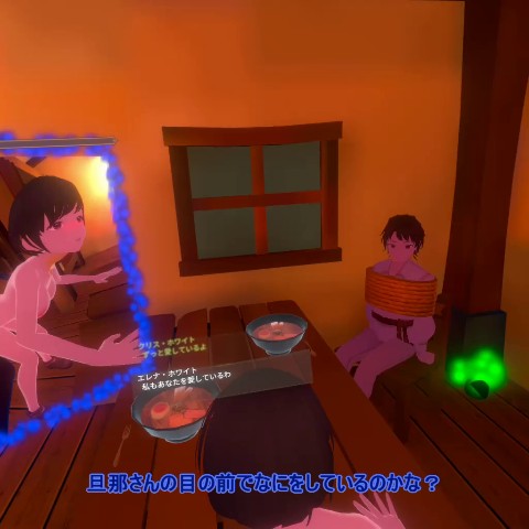 異世界転生したからNPC全員を犯るVR
